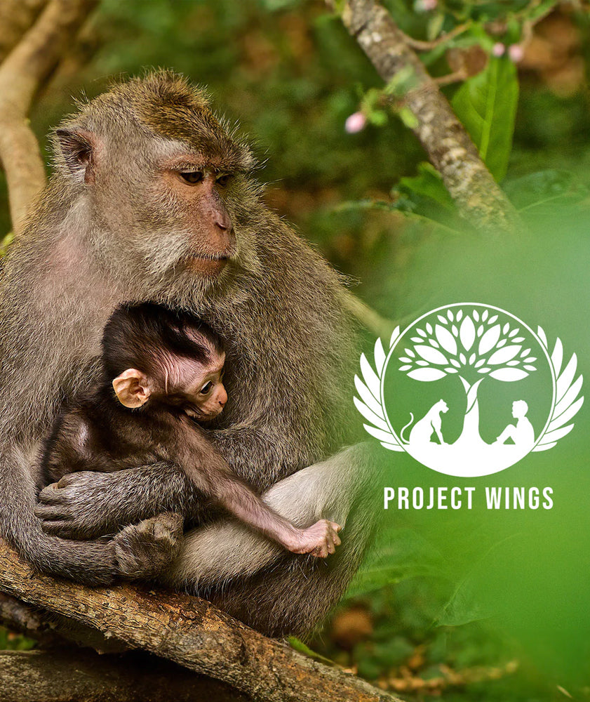 NutriDual gibt Zusammenarbeit mit Project Wings bekannt – und agiert erstmals zu 100% klimaneutral