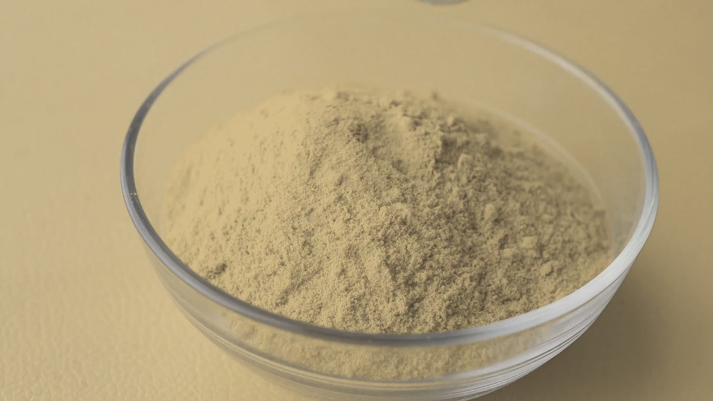 Bio Ashwagandha Kapseln